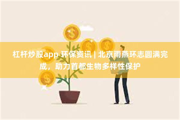 杠杆炒股app 环保资讯 | 北京雨燕环志圆满完成，助力首都生物多样性保护