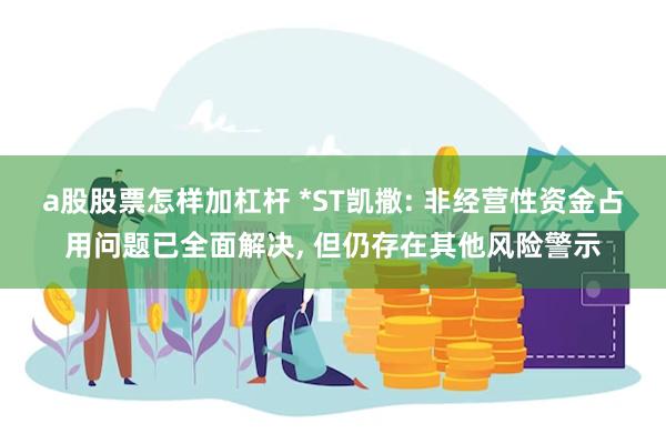 a股股票怎样加杠杆 *ST凯撒: 非经营性资金占用问题已全面解决, 但仍存在其他风险警示