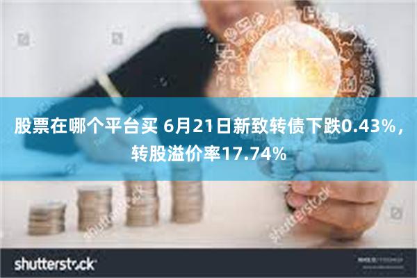 股票在哪个平台买 6月21日新致转债下跌0.43%，转股溢价率17.74%