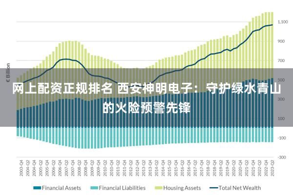 网上配资正规排名 西安神明电子：守护绿水青山的火险预警先锋