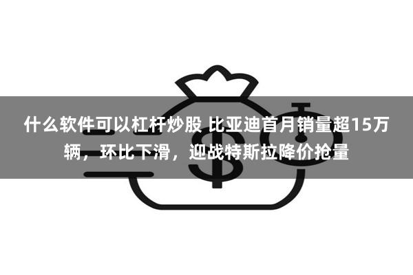 什么软件可以杠杆炒股 比亚迪首月销量超15万辆，环比下滑，迎战特斯拉降价抢量