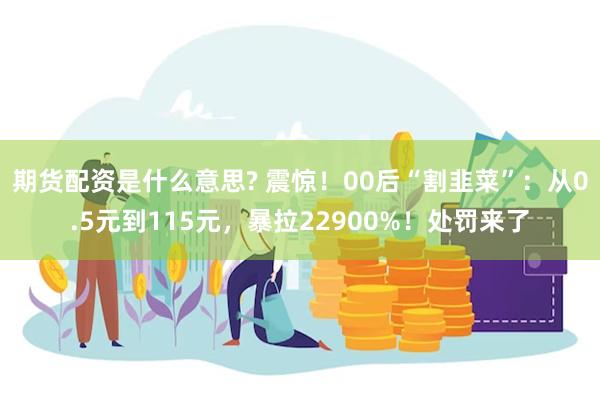 期货配资是什么意思? 震惊！00后“割韭菜”：从0.5元到115元，暴拉22900%！处罚来了