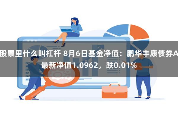 股票里什么叫杠杆 8月6日基金净值：鹏华丰康债券A最新净值1.0962，跌0.01%