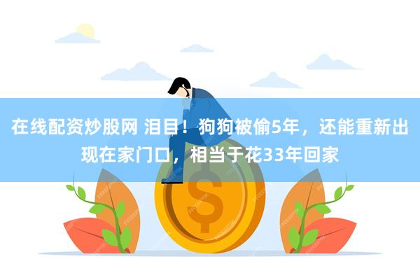 在线配资炒股网 泪目！狗狗被偷5年，还能重新出现在家门口，相当于花33年回家