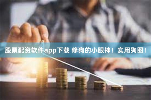 股票配资软件app下载 修狗的小眼神！实用狗图！