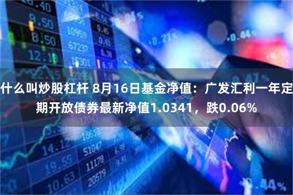 什么叫炒股杠杆 8月16日基金净值：广发汇利一年定期开放债券最新净值1.0341，跌0.06%