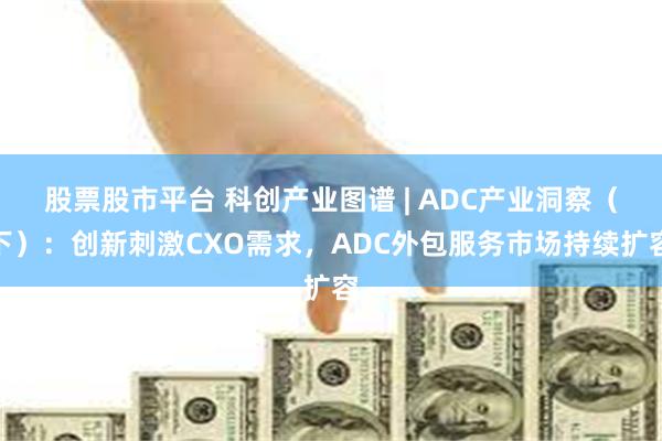 股票股市平台 科创产业图谱 | ADC产业洞察（下）：创新刺激CXO需求，ADC外包服务市场持续扩容