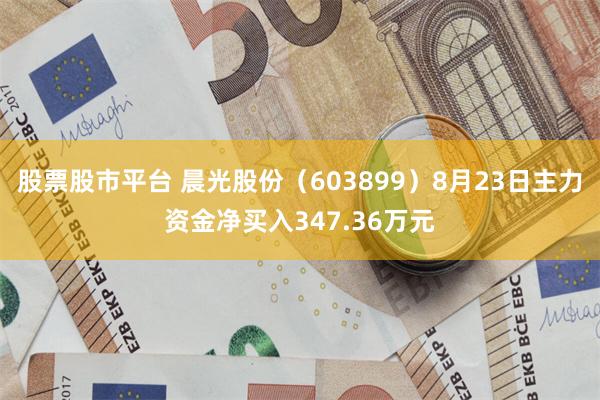 股票股市平台 晨光股份（603899）8月23日主力资金净买入347.36万元