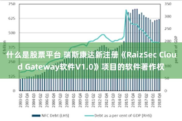 什么是股票平台 瑞斯康达新注册《RaizSec Cloud Gateway软件V1.0》项目的软件著作权