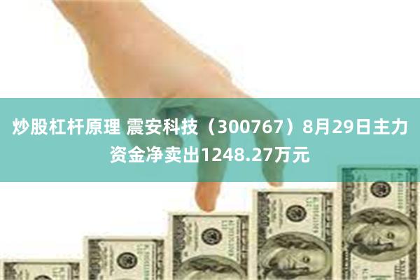 炒股杠杆原理 震安科技（300767）8月29日主力资金净卖出1248.27万元