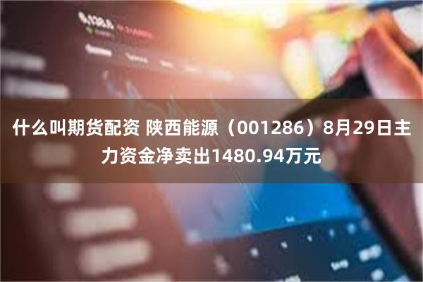 什么叫期货配资 陕西能源（001286）8月29日主力资金净卖出1480.94万元