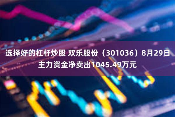 选择好的杠杆炒股 双乐股份（301036）8月29日主力资金净卖出1045.49万元