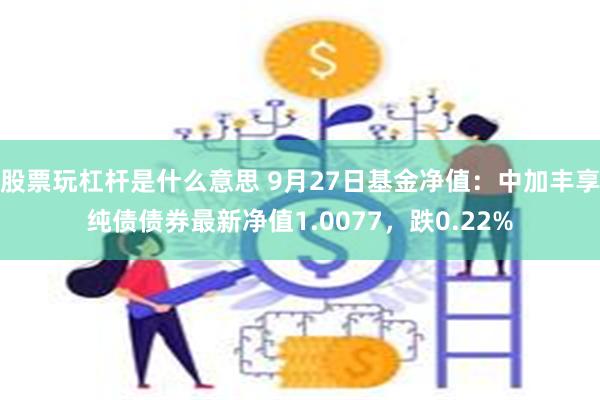 股票玩杠杆是什么意思 9月27日基金净值：中加丰享纯债债券最新净值1.0077，跌0.22%