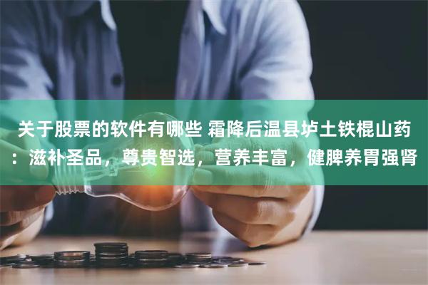 关于股票的软件有哪些 霜降后温县垆土铁棍山药：滋补圣品，尊贵智选，营养丰富，健脾养胃强肾