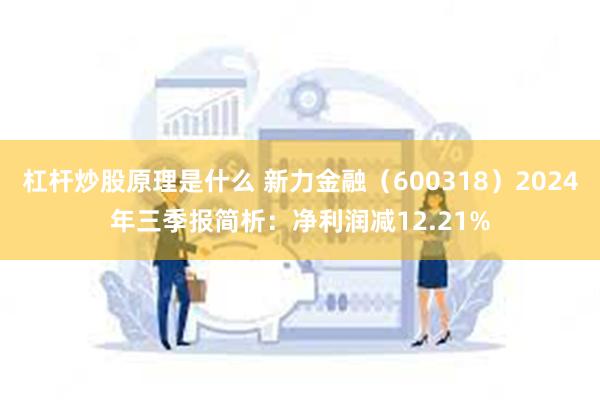 杠杆炒股原理是什么 新力金融（600318）2024年三季报简析：净利润减12.21%