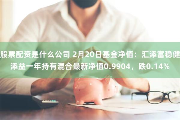 股票配资是什么公司 2月20日基金净值：汇添富稳健添益一年持有混合最新净值0.9904，跌0.14%