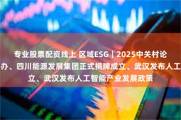 专业股票配资线上 区域ESG｜2025中关村论坛年会即将在京举办、四川能源发展集团正式揭牌成立、武汉发布人工智能产业发展政策