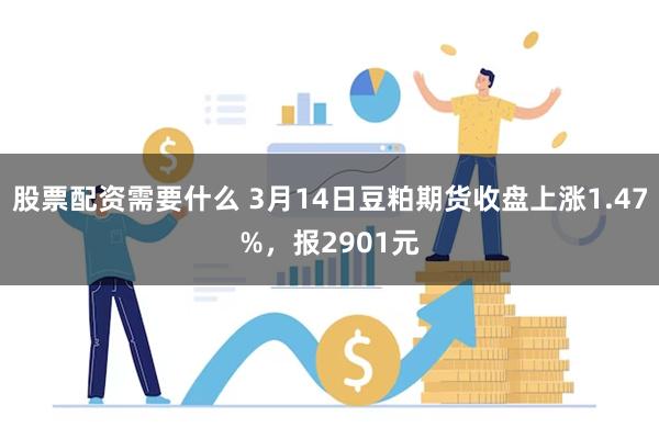 股票配资需要什么 3月14日豆粕期货收盘上涨1.47%，报2901元